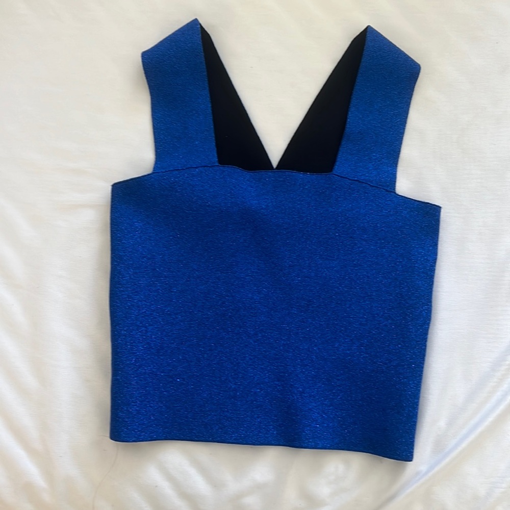 A.L.C. Ali top in metallic blue size xs